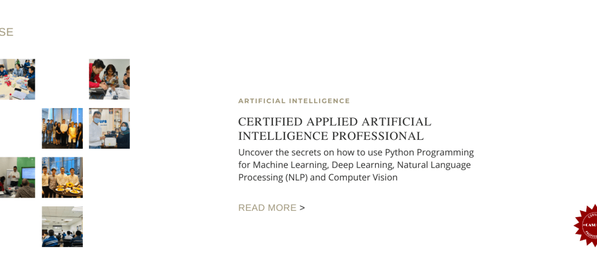 Certified Applied AI Professional (CAAI)