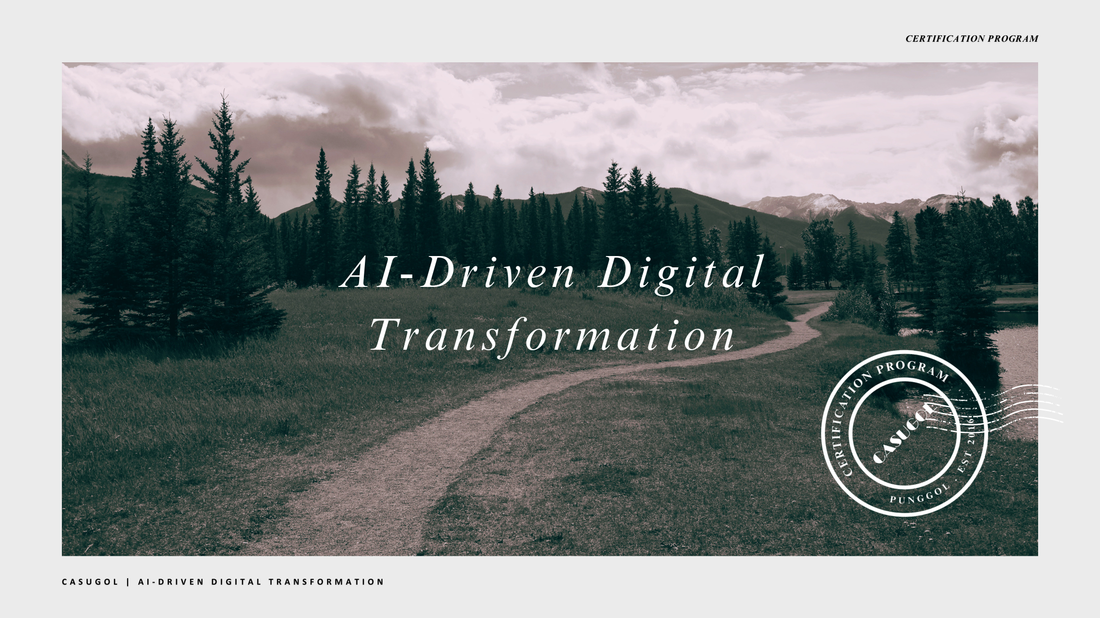 learning path_dt_banner